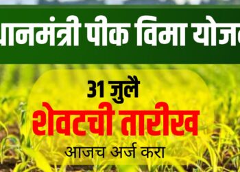 PM Crop Insurance Kharif 2025: प्रधानमंत्री पीक विमा योजना, शेतकऱ्यांना आर्थिक संरक्षण!