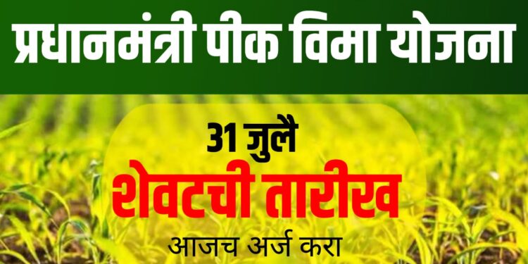PM Crop Insurance Kharif 2025: प्रधानमंत्री पीक विमा योजना, शेतकऱ्यांना आर्थिक संरक्षण!