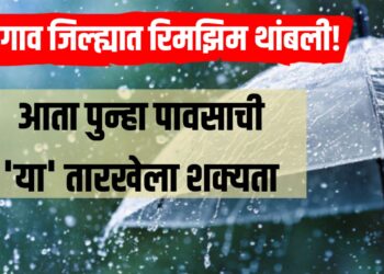 Rain Update Jalgaon: जळगाव जिल्ह्यात रिमझिम थांबली, आता पुन्हा पाऊस 'या' तारखेला