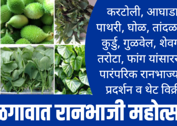 रानभाज्यांच्या खरेदीसाठी जळगावात रानभाजी महोत्सव