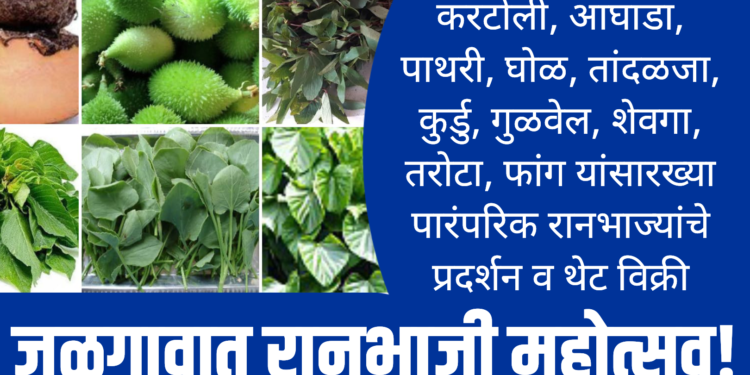 रानभाज्यांच्या खरेदीसाठी जळगावात रानभाजी महोत्सव