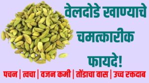 Veldode khanyache fayde : वेलदोडे खाण्याचे चमत्कारी फायदे