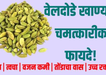 Veldode khanyache fayde : वेलदोडे खाण्याचे चमत्कारी फायदे