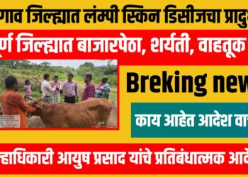 ब्रेकिंग : जळगाव जिल्ह्यात लंम्पी स्किन डिसीजचा प्रादुर्भाव, जिल्हाधिकारी आयुष प्रसाद यांचे प्रतिबंधात्मक आदेश