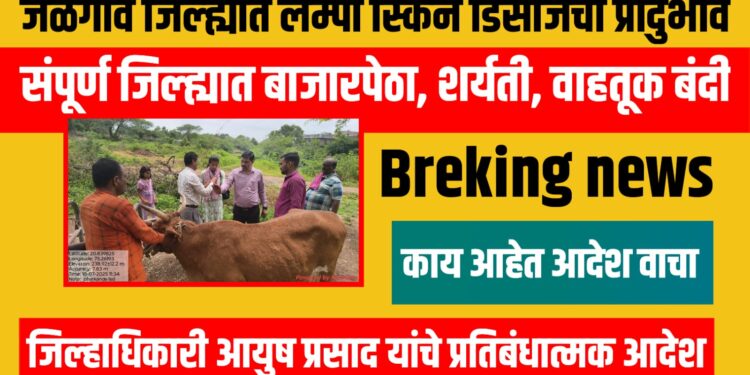 ब्रेकिंग : जळगाव जिल्ह्यात लंम्पी स्किन डिसीजचा प्रादुर्भाव, जिल्हाधिकारी आयुष प्रसाद यांचे प्रतिबंधात्मक आदेश