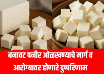 Fake Paneer – बनावट पनीर ओळखण्याचे मार्ग व आरोग्यावर होणारे दुष्परिणाम