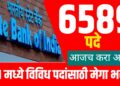 SBI Recruitment 2025: स्टेट बँक ऑफ इंडियाकडून 6589 पदांसाठी मेगा भरती सुरू