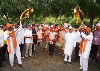 जैन हिल्स येथे पोळा उत्साहात