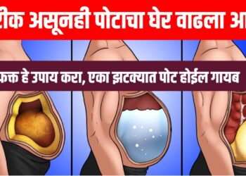 Belly Fat Reduction – बारीक असूनही पोटाचा घेर वाढला आहे? फक्त हे उपाय करा, एका झटक्यात पोट होईल गायब