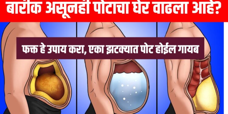 Belly Fat Reduction – बारीक असूनही पोटाचा घेर वाढला आहे? फक्त हे उपाय करा, एका झटक्यात पोट होईल गायब
