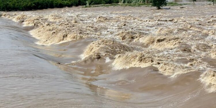 Heavy Rain in Maharashtra: महाराष्ट्रात पुढील ५ दिवस मुसळधार पावसाचा इशारा