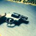 Ghatskopar Robbery: घाटकोपरमध्ये दिनदहाड्यात ज्वेलर्सवर दरोडा, हवेत गोळ्या झाडल्याने परिसरात Panic