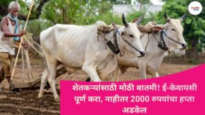 PM Kisan Samman Nidhi 21st Installment: शेतकऱ्यांसाठी मोठी बातमी! ई-केवायसी पूर्ण करा, नाहीतर 2000 रुपयांचा हप्ता अडकेल