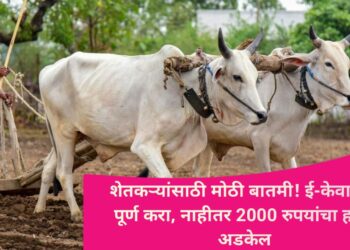 PM Kisan Samman Nidhi 21st Installment: शेतकऱ्यांसाठी मोठी बातमी! ई-केवायसी पूर्ण करा, नाहीतर 2000 रुपयांचा हप्ता अडकेल