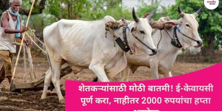 PM Kisan Samman Nidhi 21st Installment: शेतकऱ्यांसाठी मोठी बातमी! ई-केवायसी पूर्ण करा, नाहीतर 2000 रुपयांचा हप्ता अडकेल