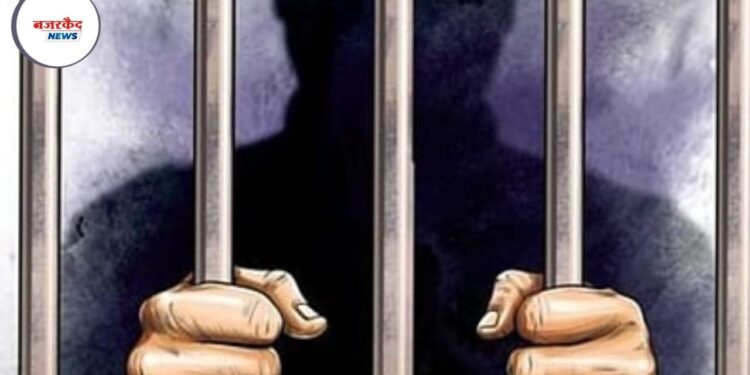 Satpur Nashik Crime: युवकावर चॉपर आणि बंदुकीने जीवघेणा हल्ला, दोन आरोपी अटकेत