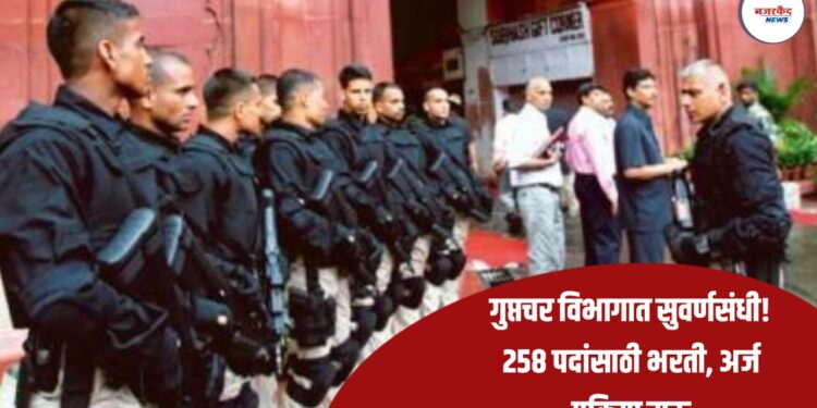IB ACIO Tech Recruitment 2025 : गुप्तचर विभागात सुवर्णसंधी! 258 पदांसाठी भरती, अर्ज प्रक्रिया सुरू
