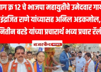 समता नगरमध्ये भाजपा महायुतीची प्रचार रॅली; आमदार राजुमामा भोळे यांची उपस्थिती