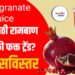 Pomegranate Juice: हृदयासाठी रामबाण उपाय की फक्त ट्रेंड? वाचा सविस्तर