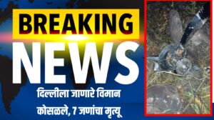 Plane Crash : मोठी बातमी! दिल्लीला जाणारे विमान कोसळले, ७ जणांचा मृत्यू