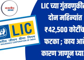LIC च्या गुंतवणुकीला दोन महिन्यांत ₹42,500 कोटींचा फटका ; काय आहे कारण जाणून घ्या...