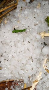 Weather News: महाराष्ट्रात पावसाचा कहर, गारपीट...शेतकरी आणि नागरिक हवालदिल