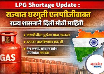 LPG Shortage Update : राज्यात घरगुती एलपीजीबाबत दिली मोठी माहिती