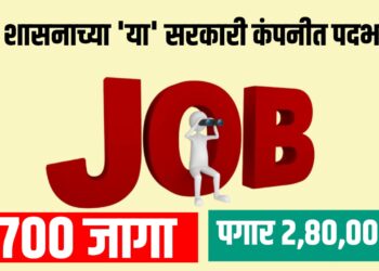 केंद्र शासनाच्या 'या' सरकारी कंपनीत ७०० पदांची भरती, पगार २ लाख ८० हजार पर्यंत...