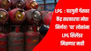 LPG : घरगुती गॅसवर केंद्र सरकारचा मोठा निर्णय! ‘या’ लोकांना LPG सिलेंडर मिळणार नाही