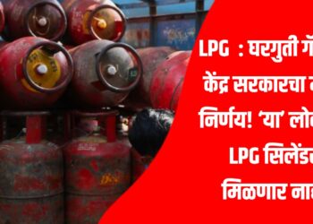 LPG  : घरगुती गॅसवर केंद्र सरकारचा मोठा निर्णय! ‘या’ लोकांना LPG सिलेंडर मिळणार नाही