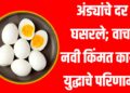 Egg Price Drop : अंड्यांचे दर घसरले; वाचा नवी किंमत काय? युद्धाचे परिणाम!