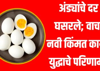 Egg Price Drop : अंड्यांचे दर घसरले; वाचा नवी किंमत काय? युद्धाचे परिणाम!