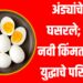 Egg Price Drop : अंड्यांचे दर घसरले; वाचा नवी किंमत काय? युद्धाचे परिणाम!