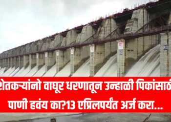 Waghur Dam Irrigation 2026: शेतकऱ्यांनो वाघूर धरणातून उन्हाळी पिकांसाठी पाणी हवंय का?13 एप्रिलपर्यंत अर्ज करा...
